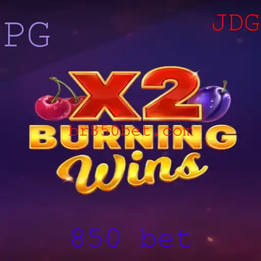 Explorando o Jogo de Cassino Online BurningWinsX2